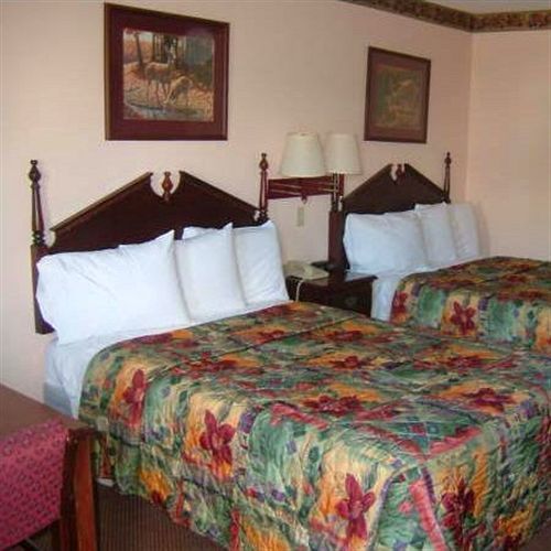 Clairmont Inn & Suites - Warren Rum bild